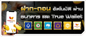 รีวิวMIAMI168 
